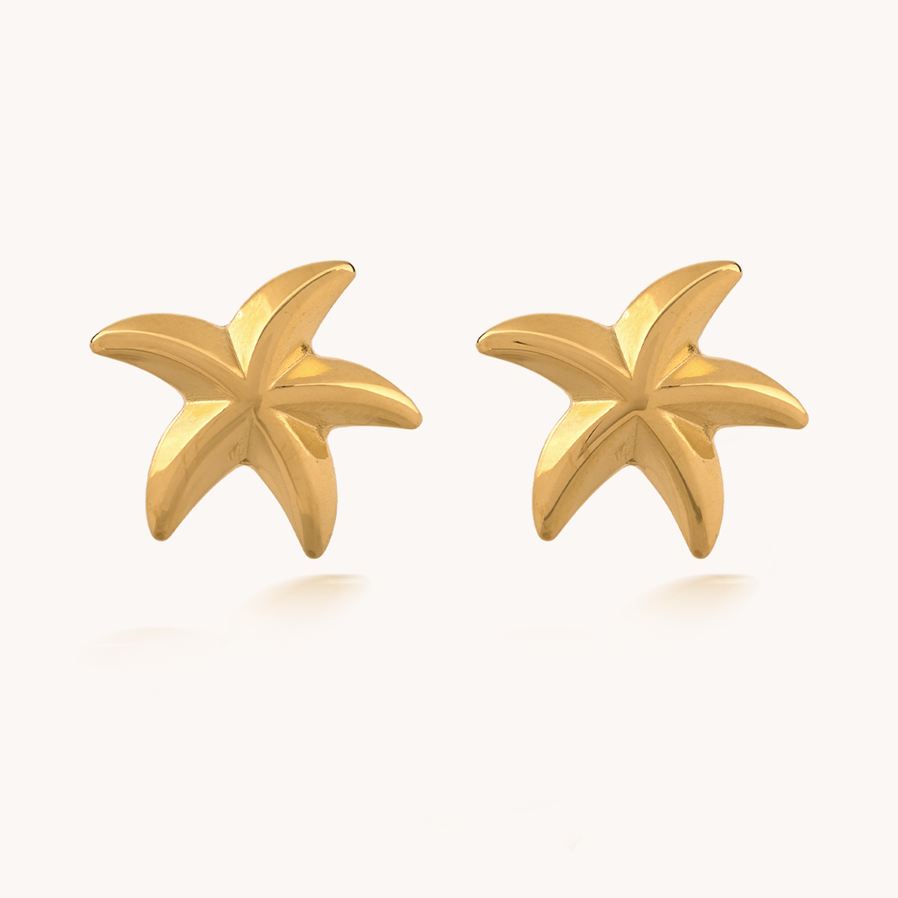 ACERO-ARETES-Bohoo Jewelry-Bohoo Accesorios